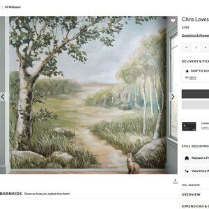 NEW Pottery Barn Kids - Chris Loves Julie Scenic Wall Mural